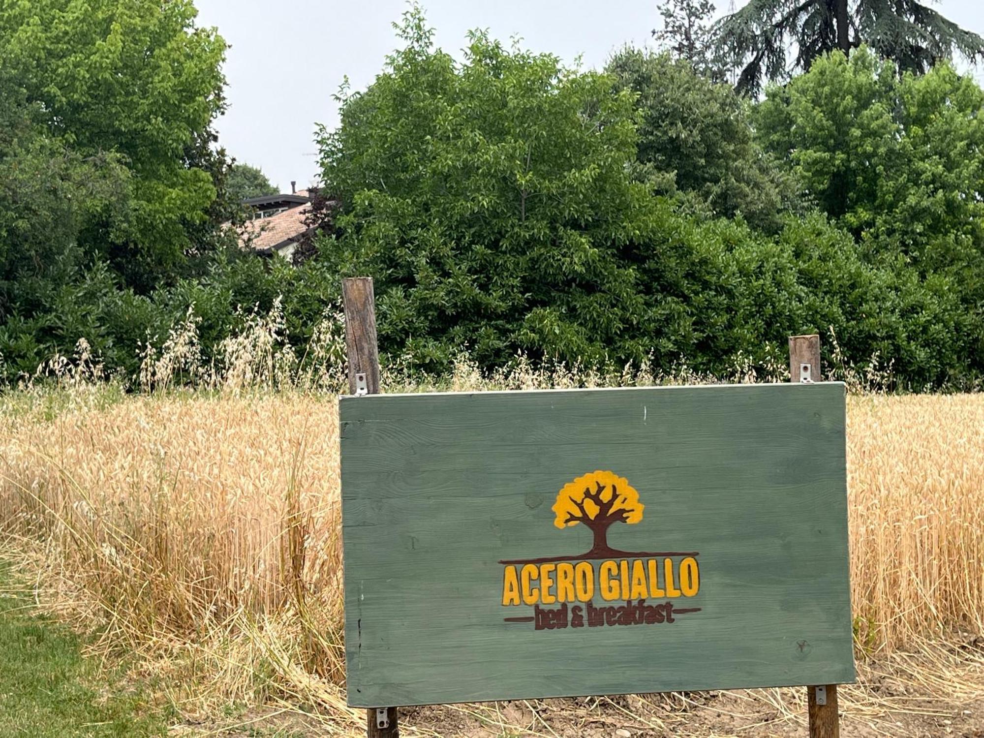 Acero Giallo Parma Luaran gambar